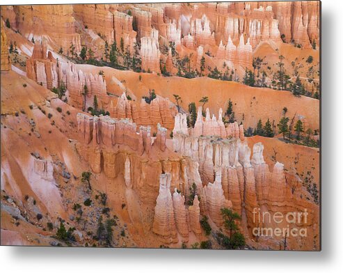 00431141 Metal Print featuring the photograph Sandstone Hoodoos in Bryce Canyon #1 by Yva Momatiuk John Eastcott