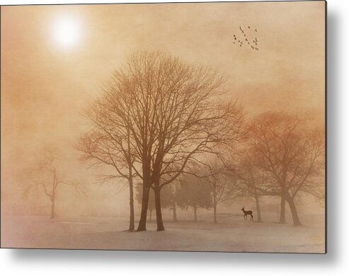 Serene Metal Print featuring the photograph Serenity by Cathy Kovarik