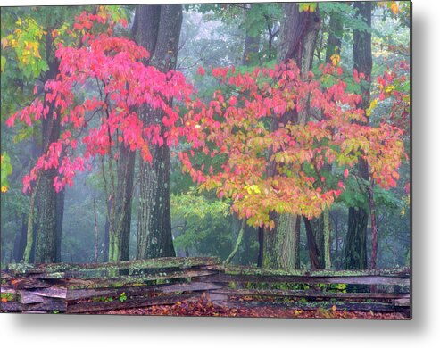 Autumn Metal Print featuring the photograph USA, Pennsylvania, Valley Forge #3 by Jaynes Gallery