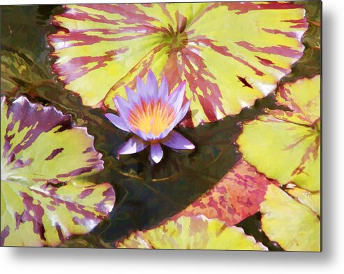 Water Metal Print featuring the digital art Water Lily #3 by Photographic Art by Russel Ray Photos