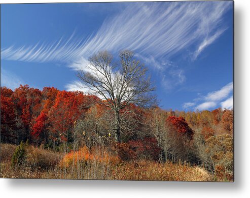 Clouds Color Metal Print featuring the photograph Windswept by Jennifer Robin