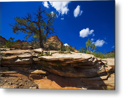 Landscape Metal Print featuring the photograph Zion National Park Utah USA #40 by Richard Wiggins