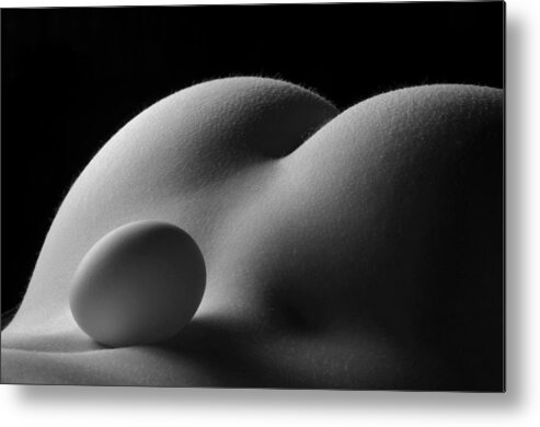Egg Metal Print featuring the photograph 3679 Egg Scape by Chris Maher