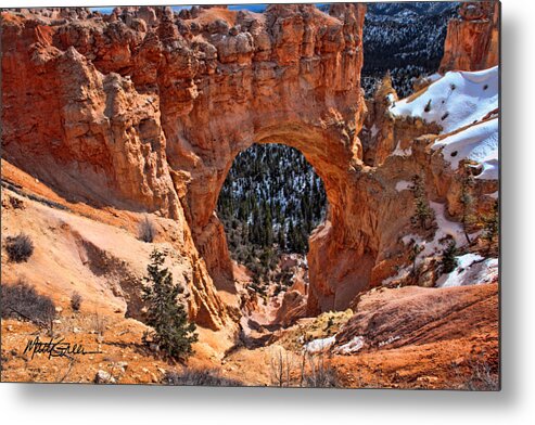 Bryce Canyon Metal Print featuring the photograph Bryce Canyon #3 by Marti Green