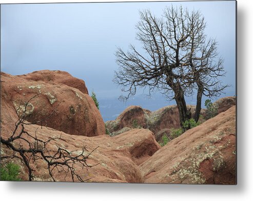 American West Metal Print featuring the photograph Garden of the Gods at Daybreak #4 by Richard Smith