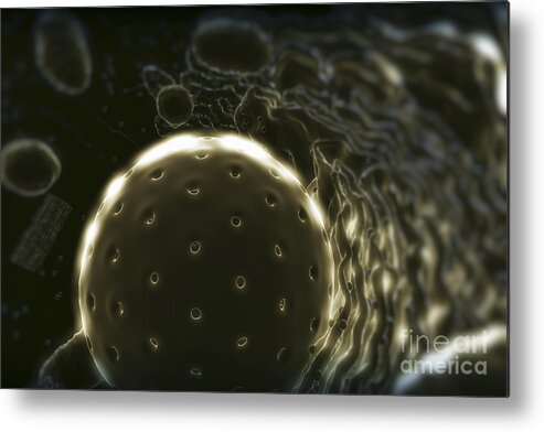 Cells Metal Print featuring the photograph Inner Workings Of A Human Cell #4 by Science Picture Co