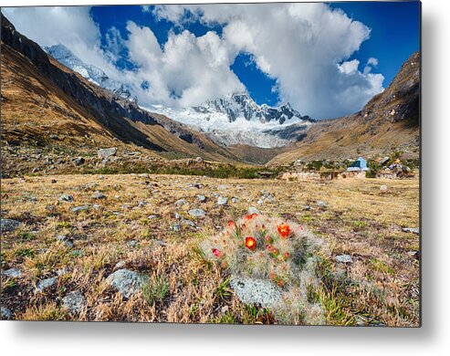 Andean Metal Print featuring the photograph Paso Punta Union #4 by U Schade