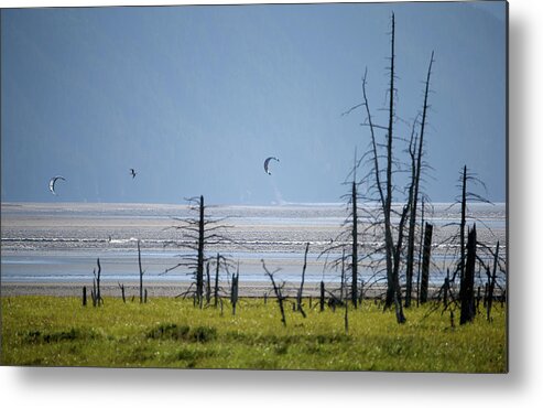 Tidal Bore Metal Print featuring the photograph Feature - Bore Tide Surfing In Alaska #5 by Streeter Lecka