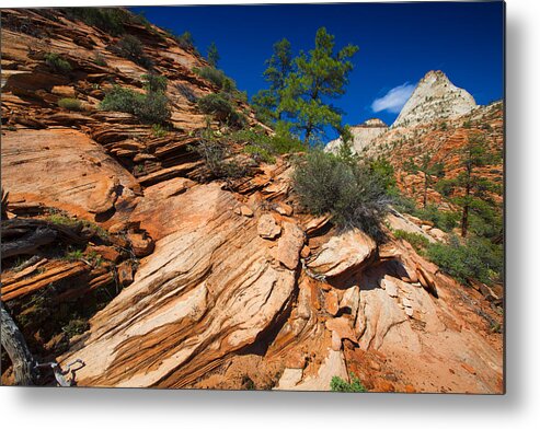 Landscape Metal Print featuring the photograph Zion National Park Utah USA #12 by Richard Wiggins