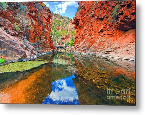 Serpentine Gorge Central Australia Northern Territory Outback Landscape Australian Gum Tree Water Hole Metal Print featuring the photograph Serpentine Gorge Central Australia #7 by Bill Robinson