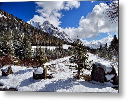 Banff Alberta Canada Metal Print featuring the photograph Banff Alberta Canada #63 by Paul James Bannerman