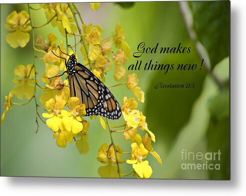 Scripture Metal Print featuring the photograph Butterfly Scripture #8 by Jill Lang