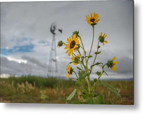 Colorado Metal Print featuring the photograph Untitled #9 by Ryan Heffron