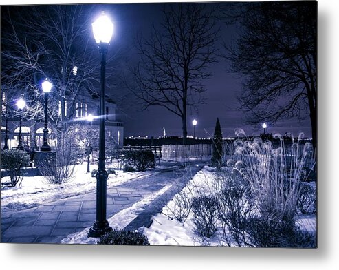 Landscape Metal Print featuring the photograph A Battery Park Winter by Theodore Jones