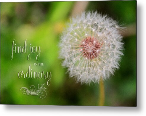 Flower Artwork Metal Print featuring the photograph A Dandy Dandelion with Message by Mary Buck