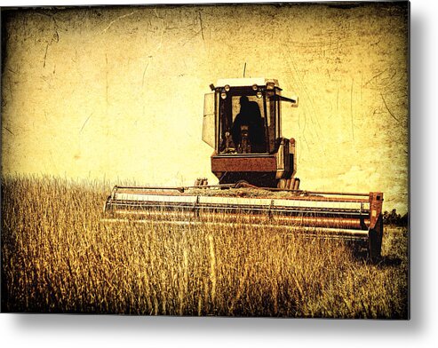 Lincoln Rogers Metal Print featuring the photograph A Field for Harvest by Lincoln Rogers
