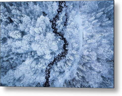 Landscape Metal Print featuring the photograph A Freezing Cold Beauty by Daniel Fleischhacker