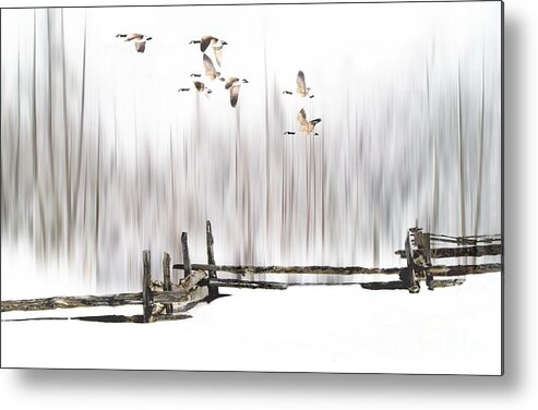 Winter Metal Print featuring the photograph A Little Winter Magic by Andrea Kollo