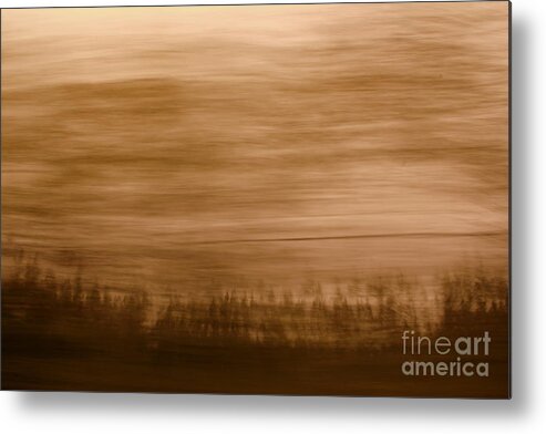 Landscape Metal Print featuring the photograph A Memory of Trees by A K Dayton