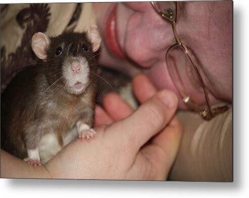 Rat Metal Print featuring the photograph A New Kind of Intimacy No Two by Dawn Boswell Burke