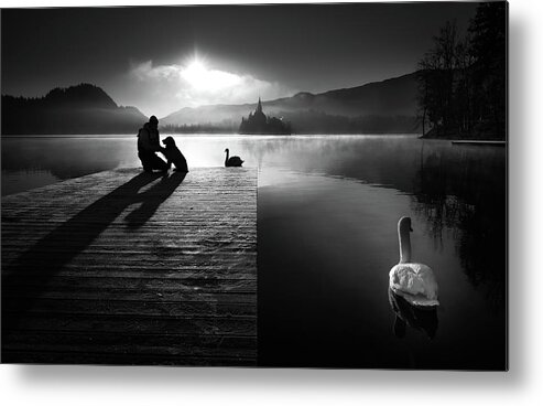 Bw Metal Print featuring the photograph A Peaceful Morning At The Lake by Sandi Bertoncelj