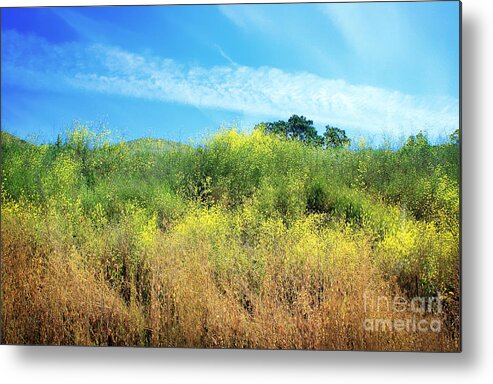 Landscape Metal Print featuring the photograph A Perfect Day by Ellen Cotton