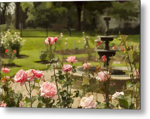 Roses Metal Print featuring the photograph A Rose Garden by Marilyn Cornwell