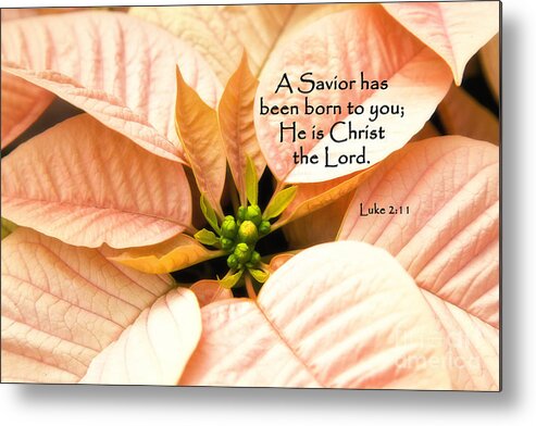Christmas Scripture Metal Print featuring the photograph A Savior has been born to you He is Christ the Lord by Jill Lang