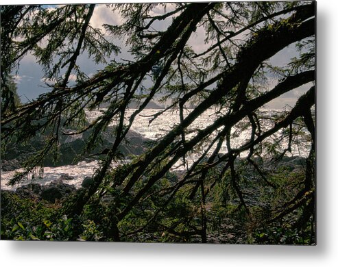 Ucluelet Metal Print featuring the photograph A Secret Place by Allan Van Gasbeck