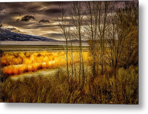 Landscape Metal Print featuring the photograph A Slice of Light by Janis Knight