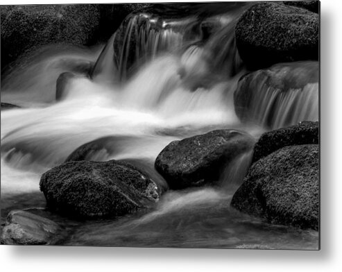 B&w Metal Print featuring the photograph A Smokies Icon by Donald Brown