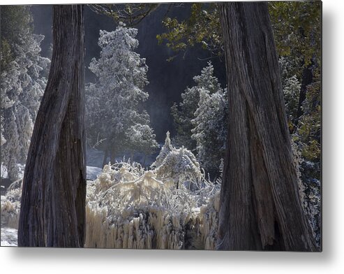 north Woods fairy Tale gooseberry Falls gooseberry River lake Superior minnesota northern Minnesota north Shore river spring Melt spring cedars river Spray ice woods magical magnificent wow nature greeting Cards mary Amerman Metal Print featuring the photograph A Twisted Fairy Tale by Mary Amerman