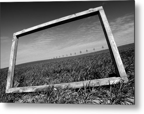 Field Metal Print featuring the photograph A View Through The Window by Marcin Delektowski