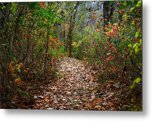 Woods Metal Print featuring the photograph A Walk to Remember by Jeff Mize