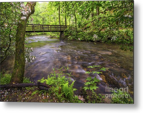 Cades Cove Metal Print featuring the photograph Abrams creek by Anthony Heflin