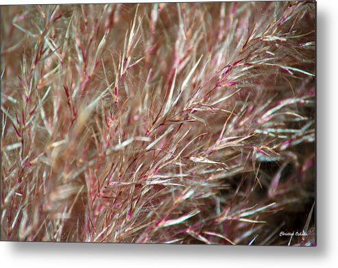 Abstract 3 Metal Print featuring the photograph Abstract 3 by Christina Ochsner