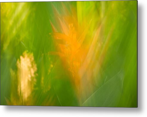 Flowers Metal Print featuring the photograph Abstract 9 by Steve DaPonte