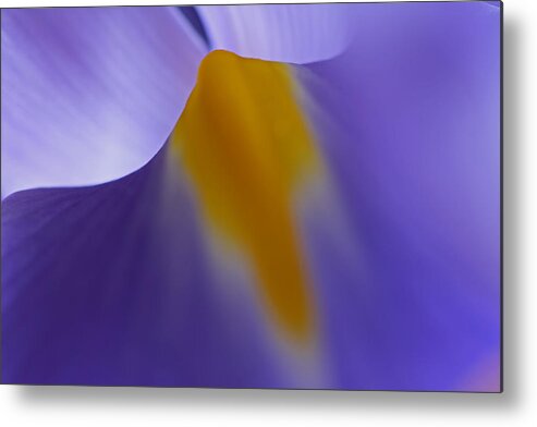 Abstract Metal Print featuring the photograph Abstract Flower by Juergen Roth