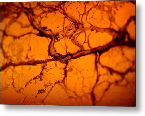 Amber Metal Print featuring the photograph Abstract in Amber by Jon Woodhams