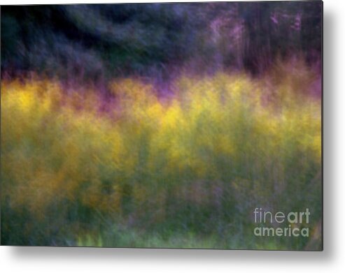 Abstract Metal Print featuring the photograph Abstract VIII Goldenrod by A K Dayton