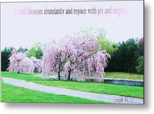 Nature Metal Print featuring the photograph Abundant Blossom by Pamela Hyde Wilson