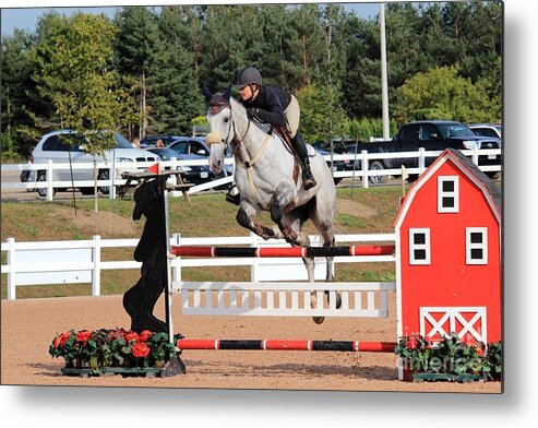 Horse Metal Print featuring the photograph Ac-jumper144 by Janice Byer