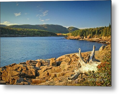 Acadia National Park Metal Print featuring the photograph Acadia by Alana Ranney