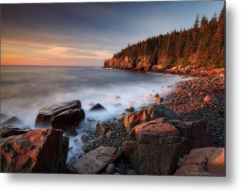 Acadia Metal Print featuring the photograph Acadia Otter Cliffs by Daniel Behm