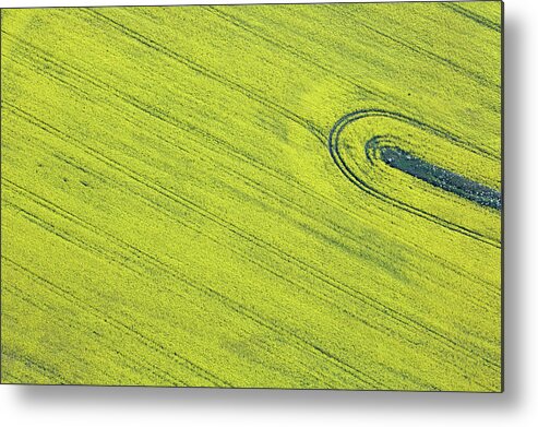 Tranquility Metal Print featuring the photograph Aerial View Of Oil Seed Rape Field by Allan Baxter