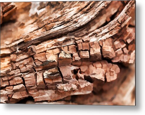 Tree Metal Print featuring the photograph Aged Beyond Perfection by J Michael Nettik