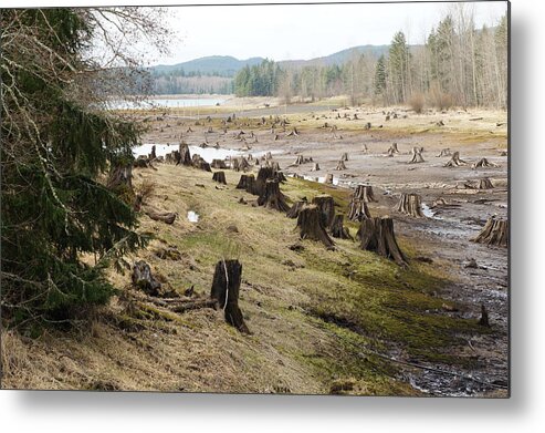 Wall Art Metal Print featuring the photograph Alder Lake by Ron Roberts