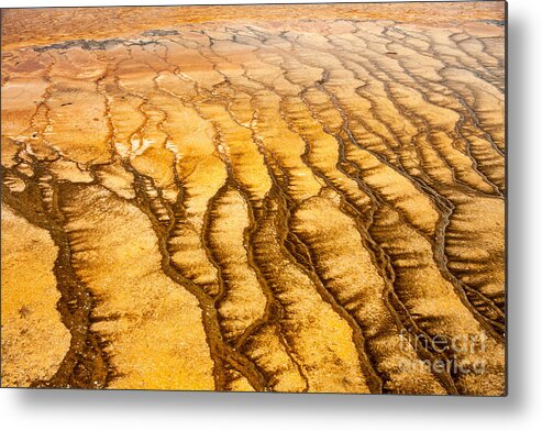 Algae Patterns Metal Print featuring the photograph Algae Patterns at the Grand Prismatic Spring in Midway Geyser Basin by Fred Stearns