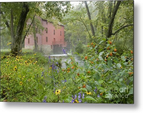 Alley Spring Metal Print featuring the photograph Alley Spring by Reva Dow