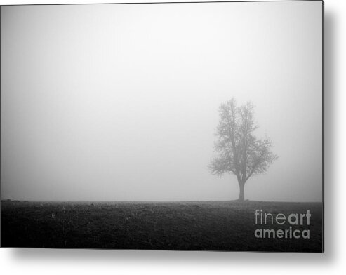 Austria Metal Print featuring the photograph Alone In The Fog - Bw by Hannes Cmarits